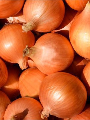 Semillas Cebolla Stuttgarter Biodinámicas Demeter