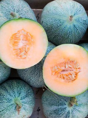 Semillas Melón Petit gris de Rennes Biodinámicas Demeter
