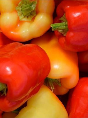 Semillas Pimiento Albaregia Biodinámicas Demeter