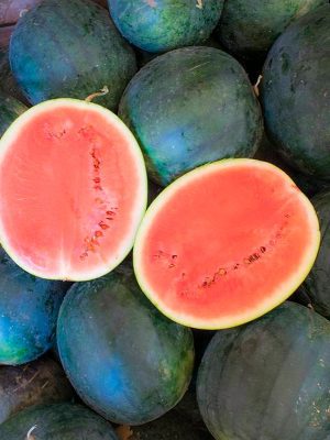 Semillas Sandía Sugar Baby Biodinámicas Demeter