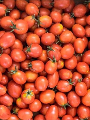 Semillas Tomate Principe Borghese Biodinámicas Demeter