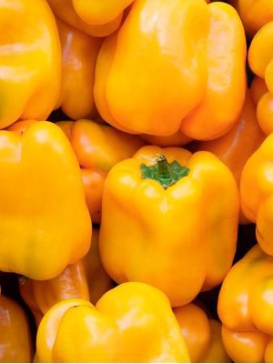 Semillas Pimiento Amarillo Quadrato d ́Asti Biodinámicas Demeter