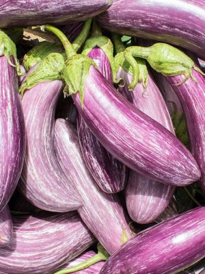 Semillas Berenjena Tsakoniki Biodinámicas Demeter