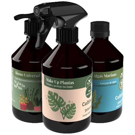 abonos plantas de interior y balcón